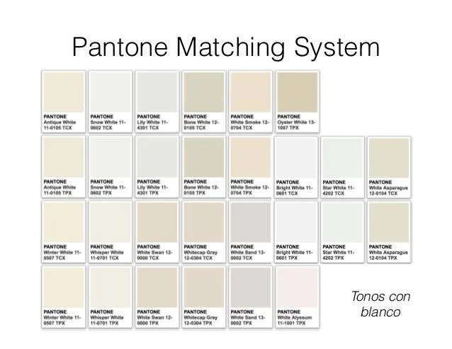 Explorando color hueso Pantone Paleta perfecta