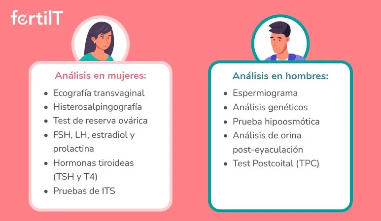 Consejos para relación equilibrada en inseminación artificial
