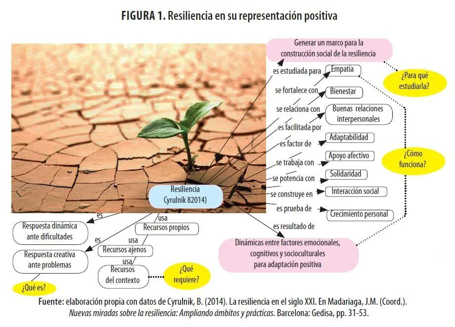 El comportamiento exploratorio y su papel en la resiliencia