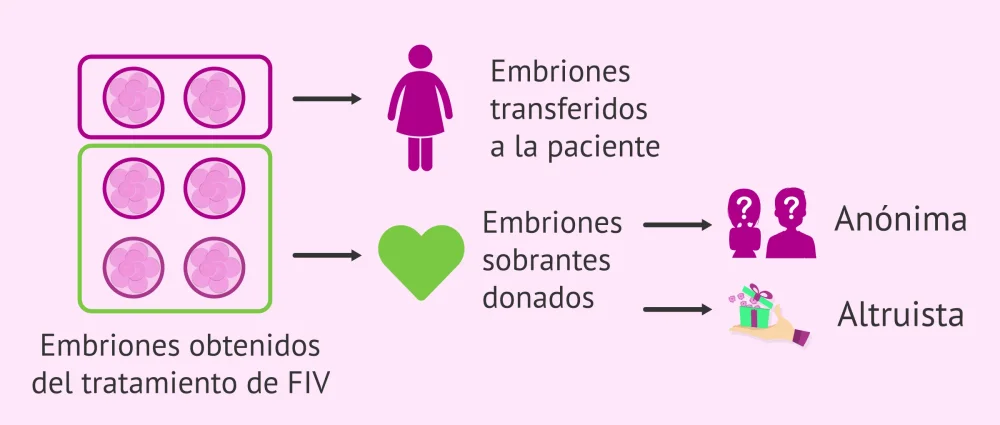 Fortaleciendo la autoestima en donación de embriones