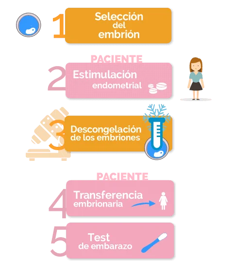 Estrategias para superar desafíos en adopción de embriones