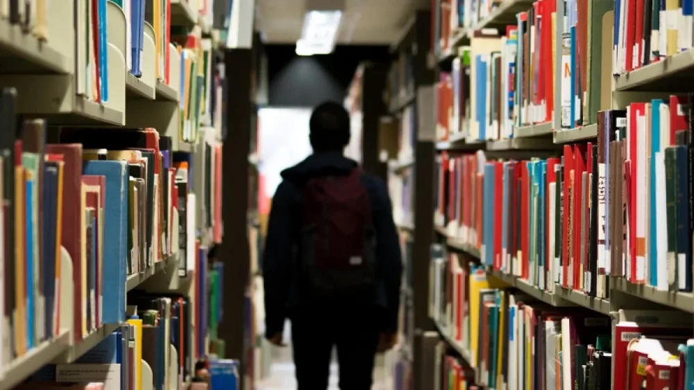 Impacto de las fobias específicas en el rendimiento académico