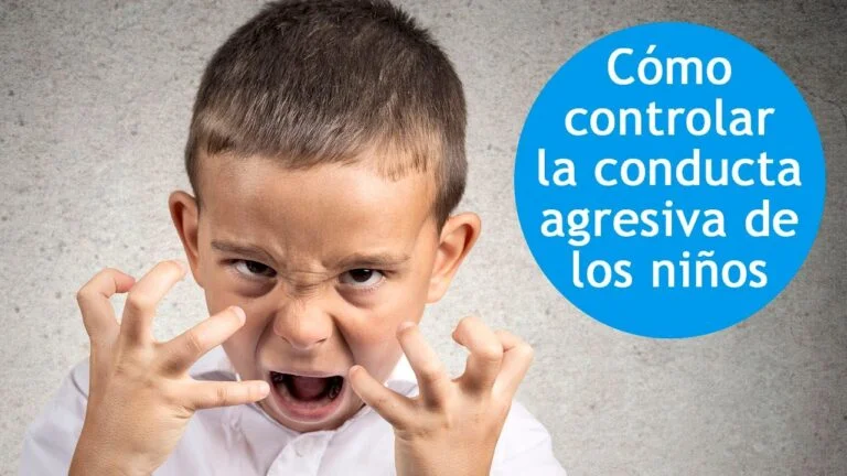 Imitación y agresión La influencia de los modelos