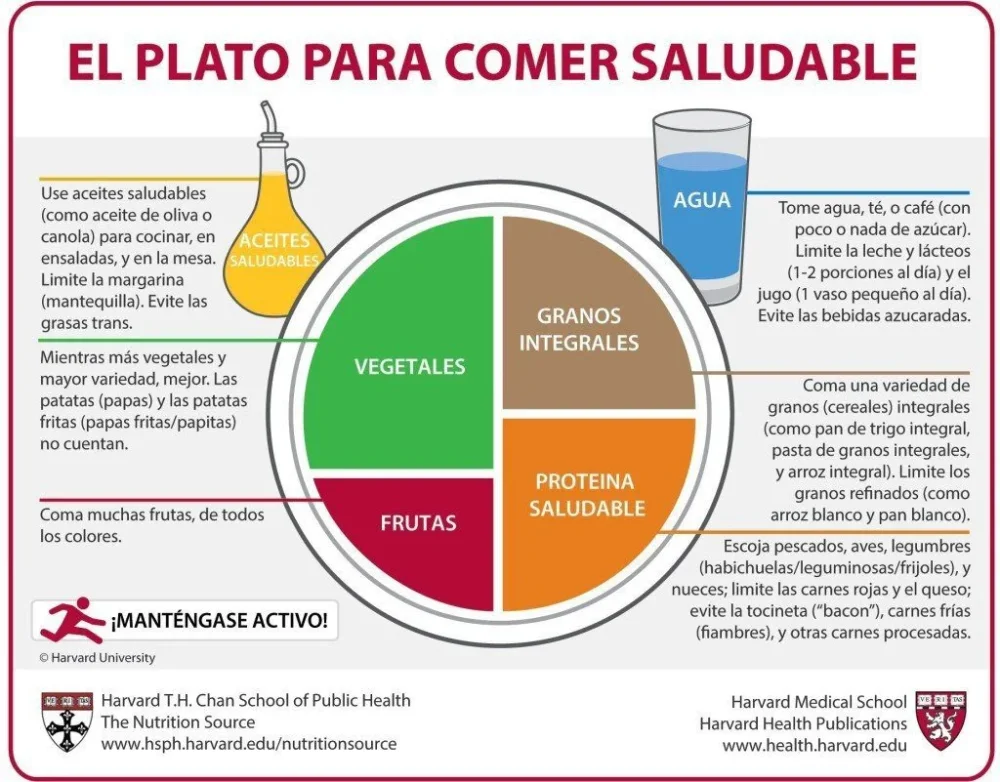Consejos nutricionales para vida saludable