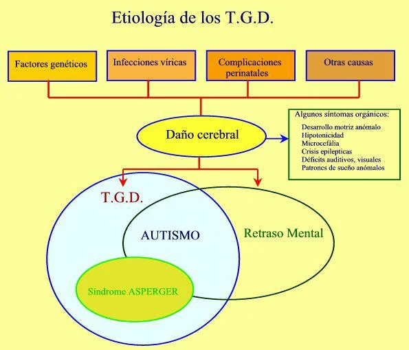 Diferencias entre trastorno generalizado del desarrollo y autismo