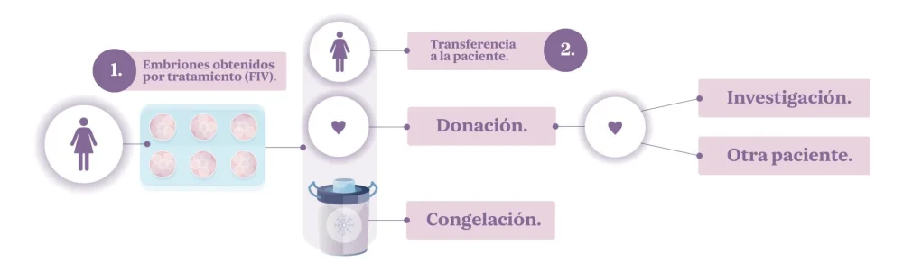 Gestión de conflictos en adopción de embriones optimización