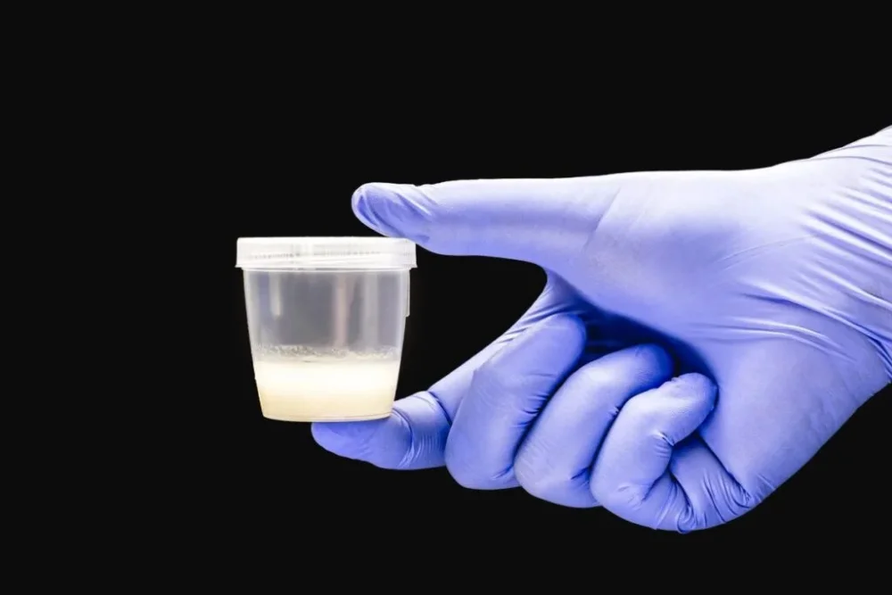Cómo resolver conflictos en parejas donantes de esperma