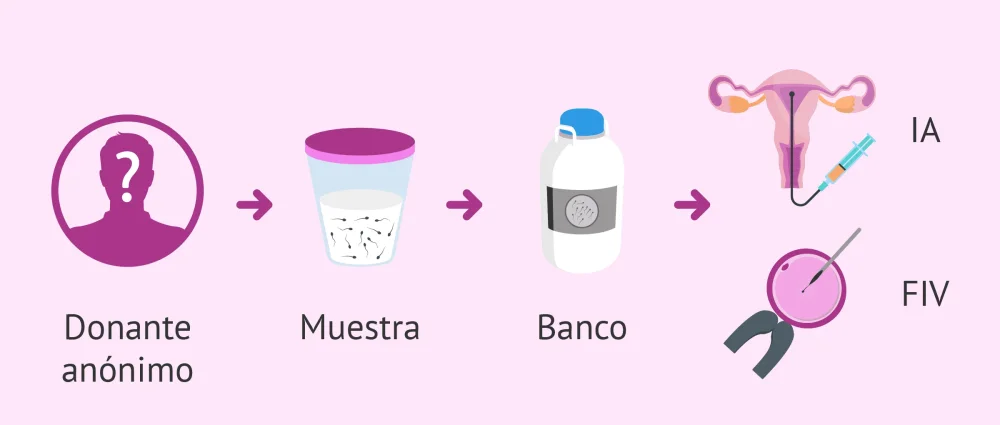 Consejos para fortalecer la relación durante donación de esperma