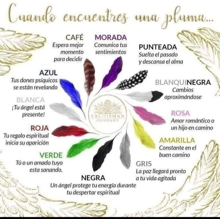 Significado simbólico de la pluma marrón y blanca