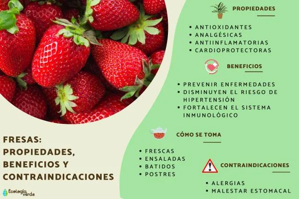 Beneficios de soñar con fresas Descubre su impacto en bienestar