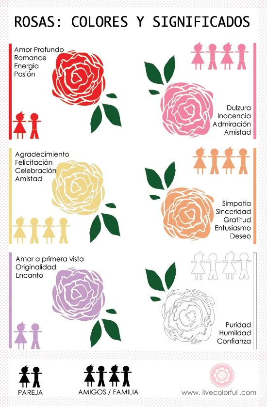 Explorando tonos de rosa Tipos y significados