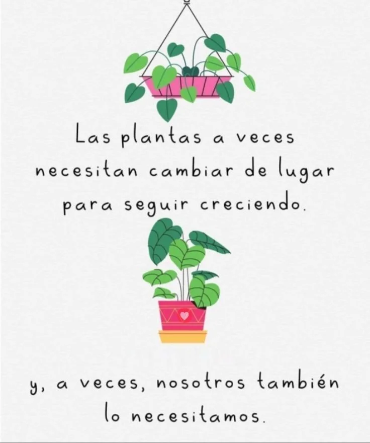 Frases inspiradoras de plantas para reflexionar