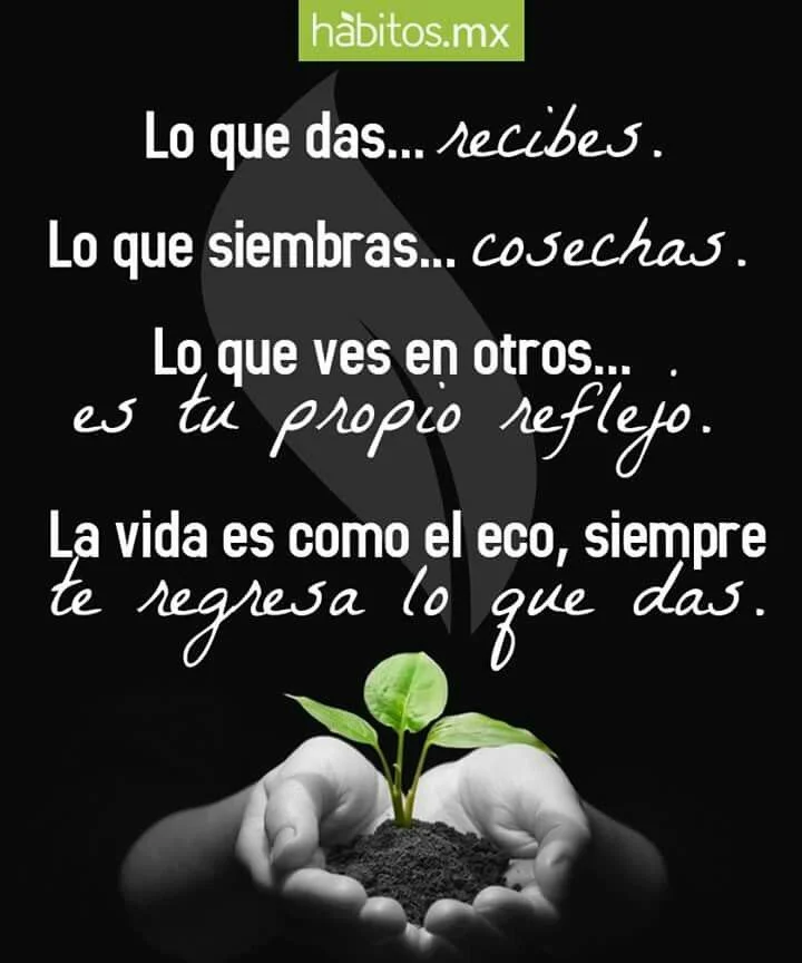 Recibir lo que das una reflexión profunda