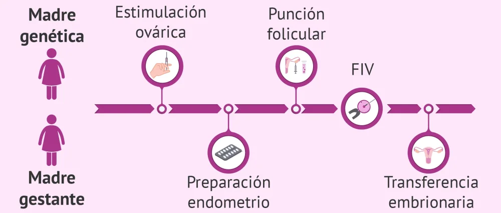 Terapia de Pareja en el Proceso de Adopción de Óvulos