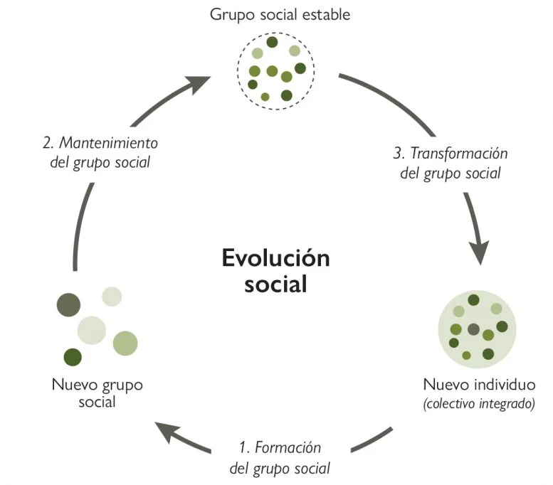 Altruismo y cooperación claves en la evolución humana