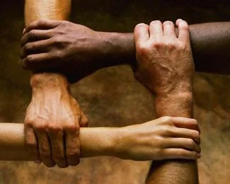 Cooperación y altruismo en la evolución humana