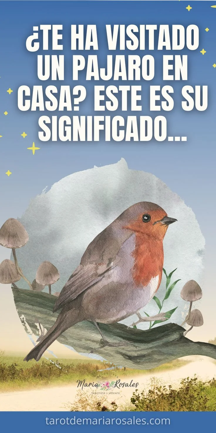 El significado de la visita de un pajarito