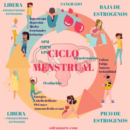 Impactos hormonales del ciclo menstrual en las emociones