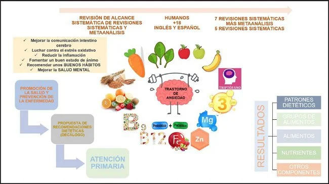 Ansiedad y hábitos alimentarios una relación influyente