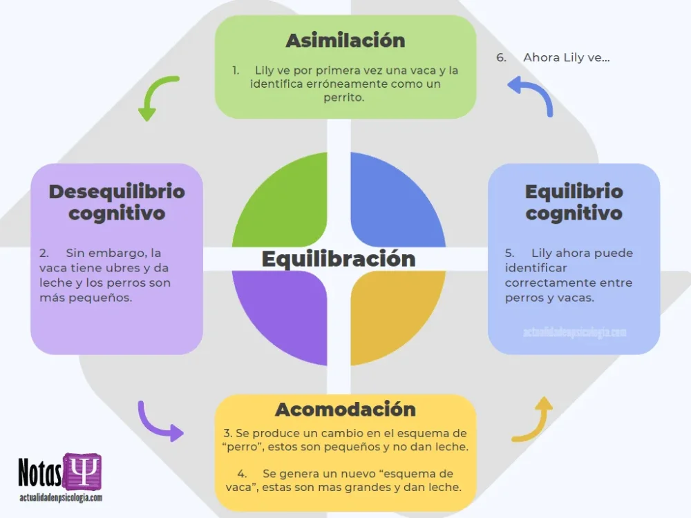 Equilibrio cognitivo visión optimizada y concisa