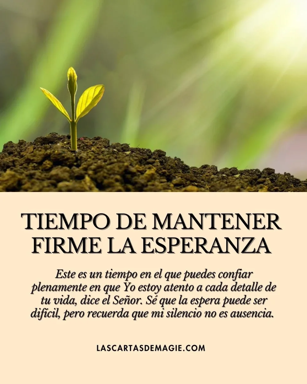 Consejos para mantener la esperanza en la concepción