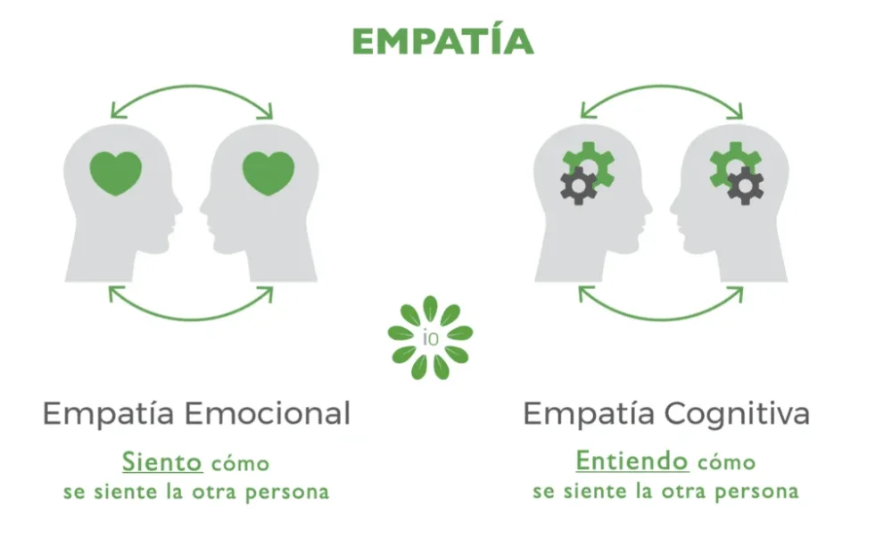 La conexión entre empatía y empatía afectiva análisis conciso
