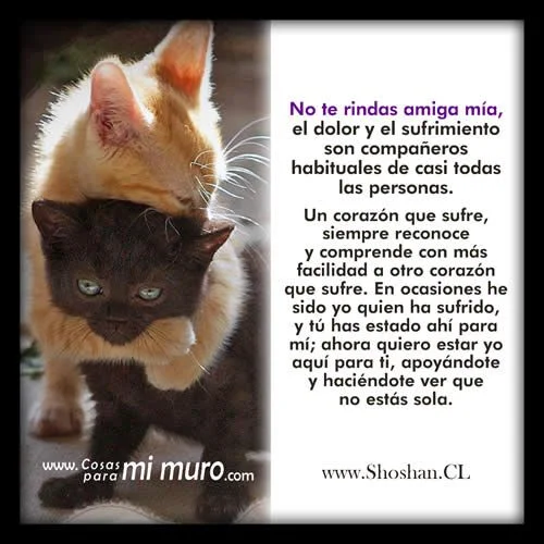 Carta de ánimo para una amiga Cómo levantar su ánimo
