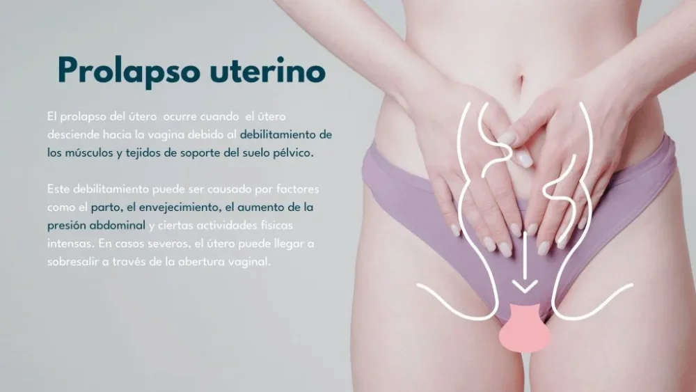 Consejos para fortalecer la relación en la adopción de útero