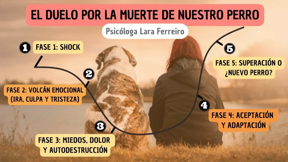 Terapia de duelo por pérdida de mascotas