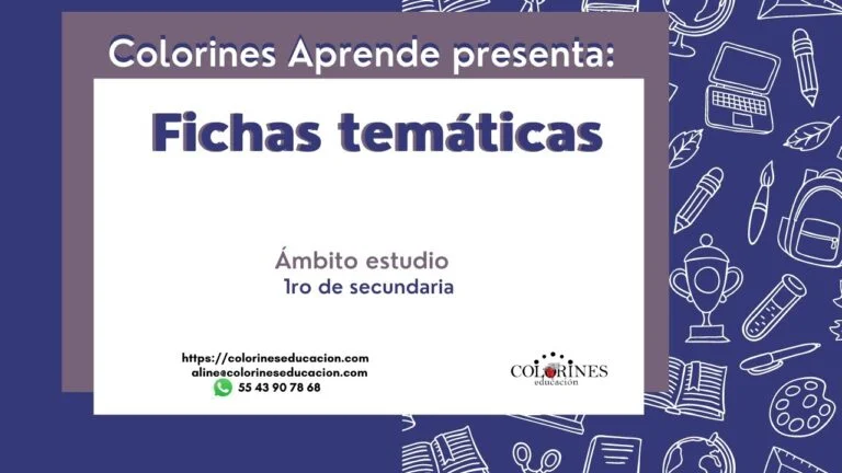 Guía de Ficha Temática Concisa y Optima