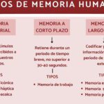 10 Ejemplos de Memorias de Trabajos para Inspirarte