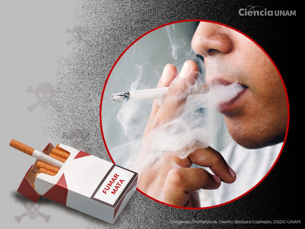 Adicción al tabaco análisis conciso y optimizado