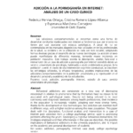 Adicciones sexuales en Internet Un análisis conciso