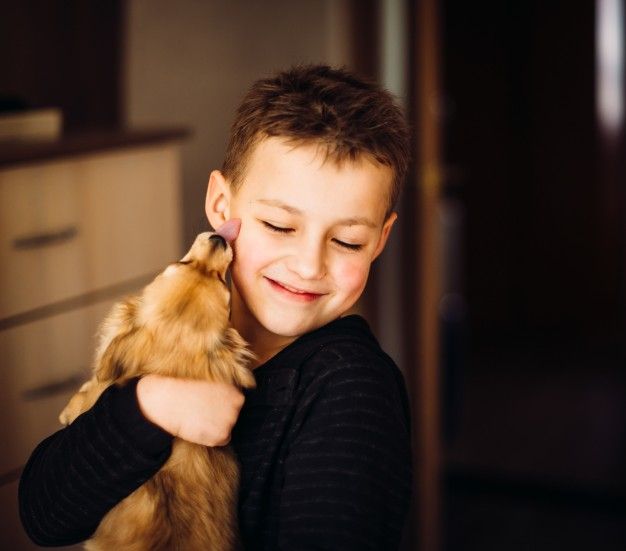 Apoyo emocional urgente en adopción El vínculo imprescindible