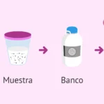 Apoyo psicológico en donación de esperma en parejas