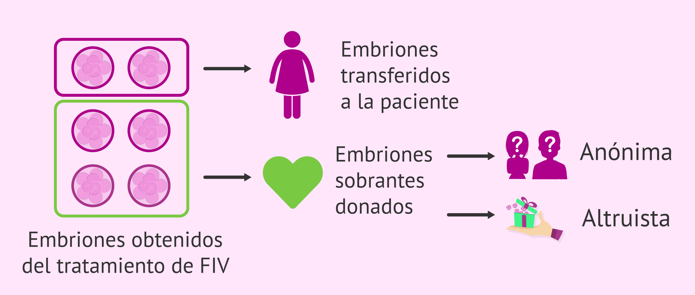 Autoconocimiento clave en donación de embriones