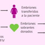 Avances en proyectos de donación de embriones