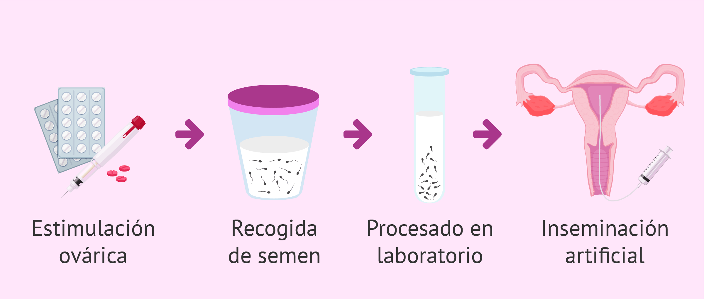 Beneficios de la terapia de pareja en adopción de esperma