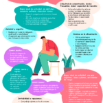 Beneficios terapia apoyo trastorno bipolar
