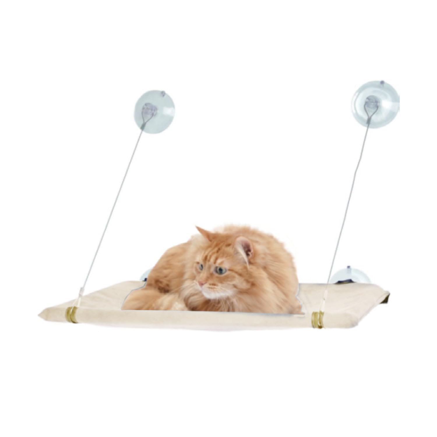Cama de ventana para gatos solución perfecta para el descanso