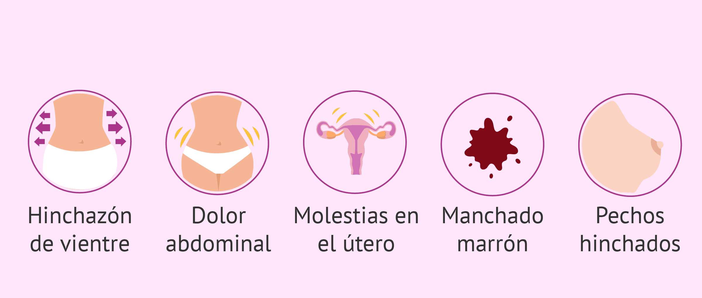 Cambios en la vida cotidiana durante la inseminación artificial