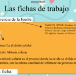 Características y Funciones de las Fichas de Trabajo Resumen