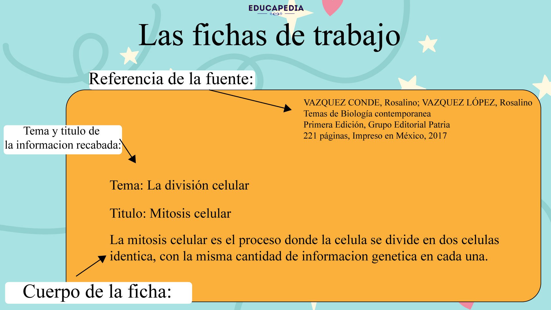 Características y Funciones de las Fichas de Trabajo Resumen
