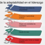 Claves para el éxito en el comportamiento y adaptabilidad