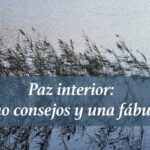 Claves para la serenidad y paz interior en humanos