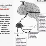 Comportamiento autodestructivo y trastorno de estrés agudo relación