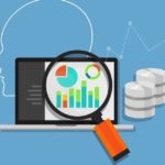 Comportamiento exploratorio y creatividad Un análisis optimizado