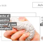 Comportamiento social bajo estrés Análisis conciso