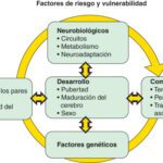 Consecuencias del comportamiento adictivo Impacto y soluciones