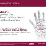 Consejos de bienestar mental en donación de útero